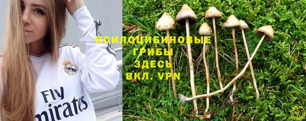 соль курить ск Карпинск