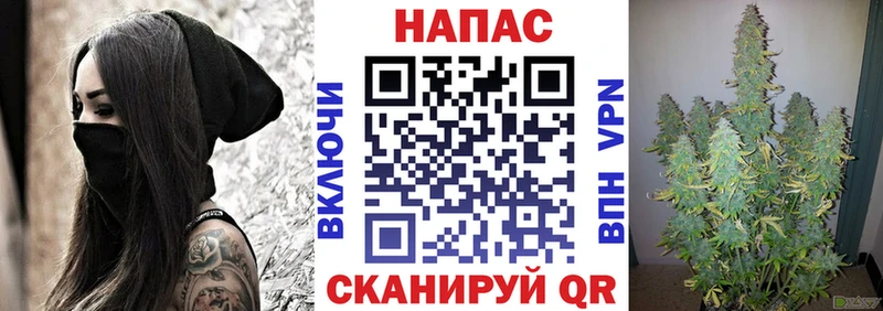 Каннабис конопля Купить Мураши